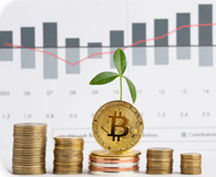 Amazing Blog Post With Everything In It