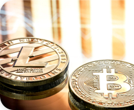 Mauris euismod tortor enim, in commodo enim egestas